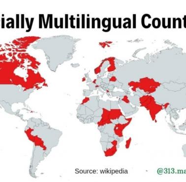 Kraje oficjalnie wielojęzyczne