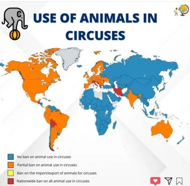 Przepisy dotyczące wykorzystywania zwierząt w cyrkach
