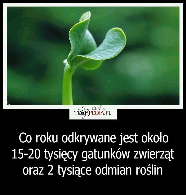 Nowe gatunki zwierząt i roślin