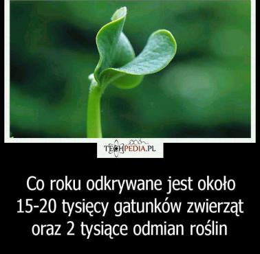 Nowe gatunki zwierząt i roślin