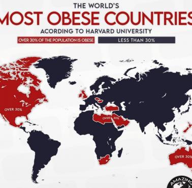 Współczynnik otyłości na całym świecie. Top najbardziej otyłych krajów świata