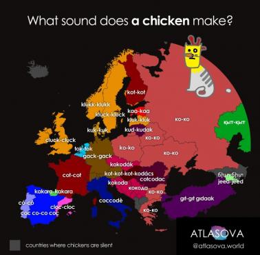 Jaki dźwięk wydają kurczaki w europejskich językach