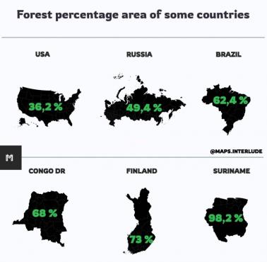 Kraje z największym odsetkiem lasów w ogólnej powierzchni