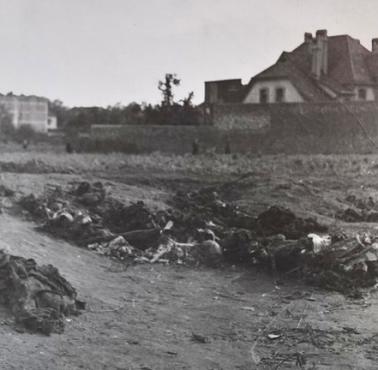 23 X 1939r. Pijani Niemcy torturują, skalpują a następnie mordują 56 Polaków w więzieniu w Inowrocławiu