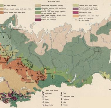 Główne uprawy w ZSRR, lata 60-te, 1967