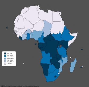 Odsetek chrześcijan w Afryce z podziałem na państwa
