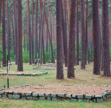 W Lasach Rożnowickich k/Obornik Niemcy zamordowali 12 tyś ludzi. Wielkopolski Katyń. Zaczęli w październiku'39