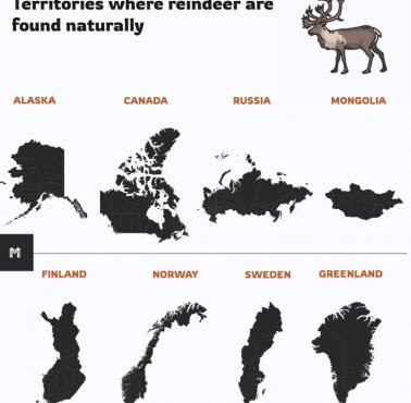 Występowanie reniferów na świecie (naturalne siedliska)