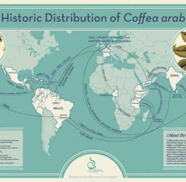 Historia kawy arabica na świecie