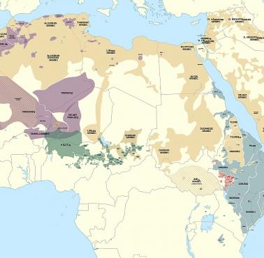 Dominujace języki Afryki Północnej