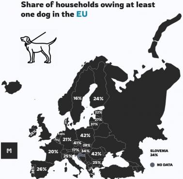 Popularność psów w Europie. Odsetek gospodarstw domowych posiadających psa