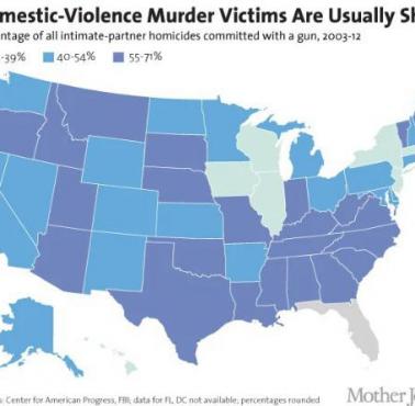 Odsetek morderstw związanych z przemocą domową popełnionych z użyciem broni palnej w stanach USA, 2003-2012