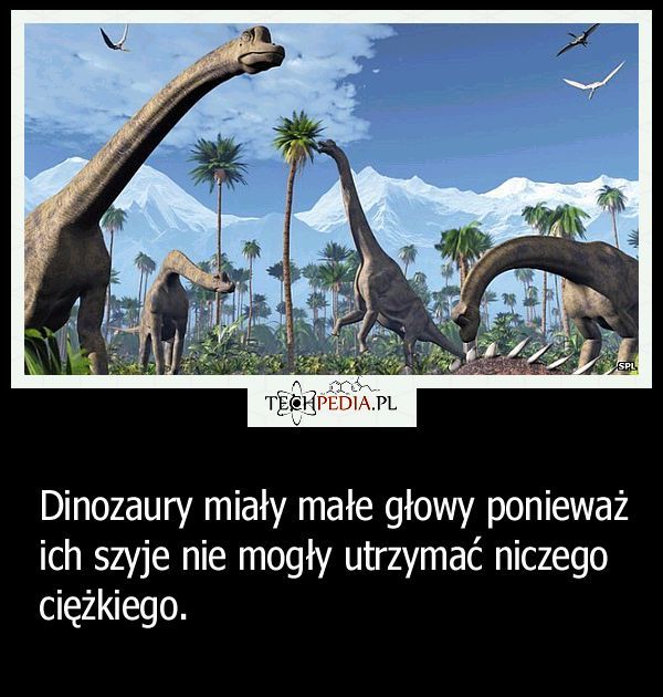 Dlaczego dinozaury miały małe głowy?