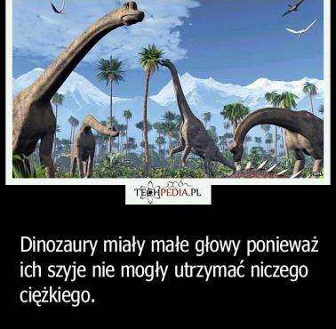 Dlaczego dinozaury miały małe głowy?