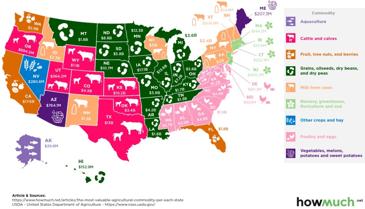 Główne produkty rolne w poszczególnych stanach USA