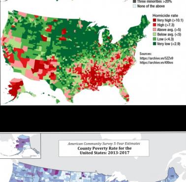 Rasa, wskaźnik zabójstw i wskaźnik ubóstwa w jednostkach administracyjnych USA