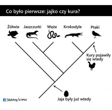 Co było pierwsze - jajko czy kura?