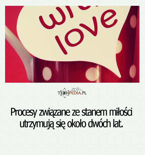 Procesy zwiazane ze stanem miłości utrzymują się średnio ...