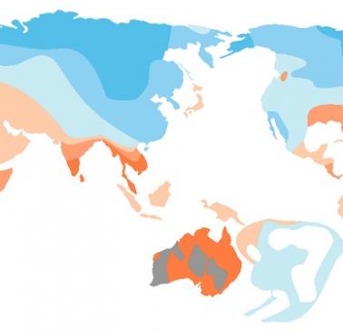 Średnie rozmiary mózgu człowieka na całym świecie