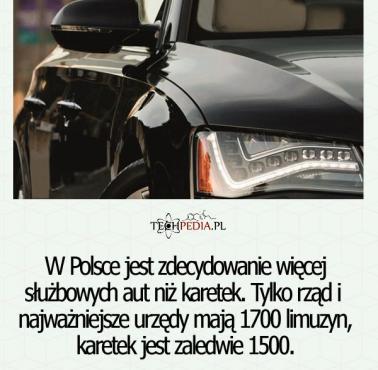 Czego jest w Polsce więcej, karetek czy limuzyn do dyspozycji urzędników państwowych?