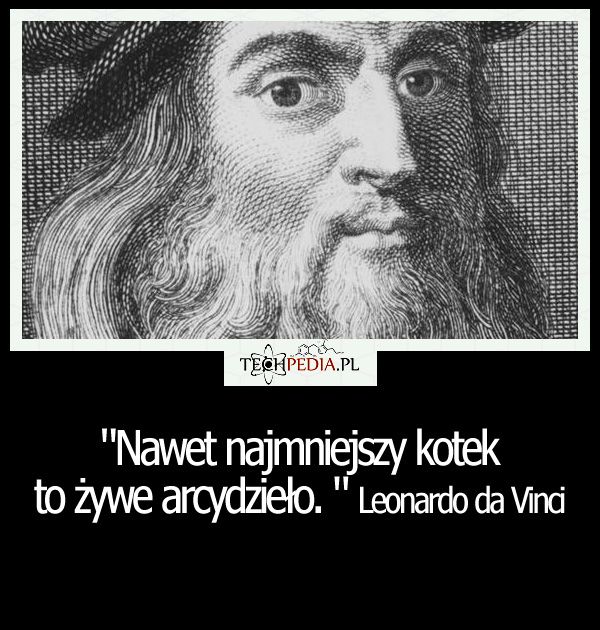 Nawet najmniejszy kotek to żywe arcydzieło Leonardo da Vinci