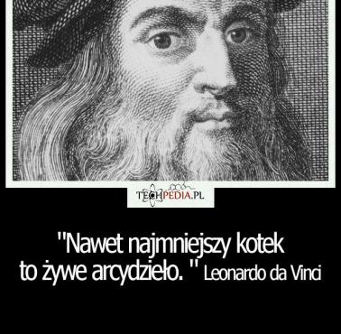 "Nawet najmniejszy kotek to żywe arcydzieło" Leonardo da Vinci