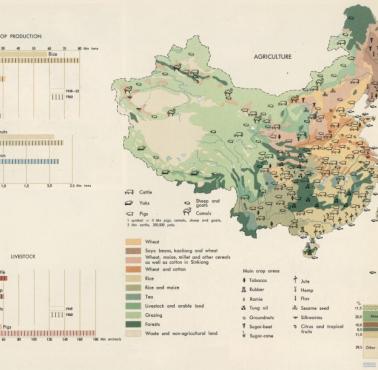 Rolnicza mapa Chin (agrokultura), produkcja zbóż, trzody, lata 60-te, 1967