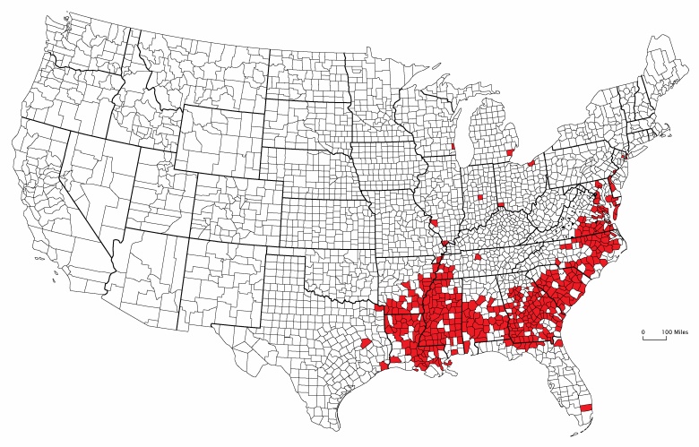 Hrabstwa USA, w których według spisu ludności w 2020 r. co najmniej 25% populacji to osoby czarnoskóre (Afroamerykanie)