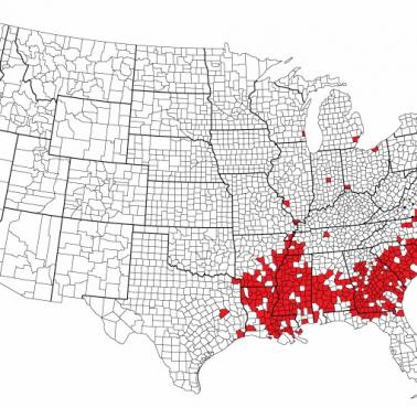 Hrabstwa USA, w których według spisu ludności w 2020 r. co najmniej 25% populacji to osoby czarnoskóre (Afroamerykanie)