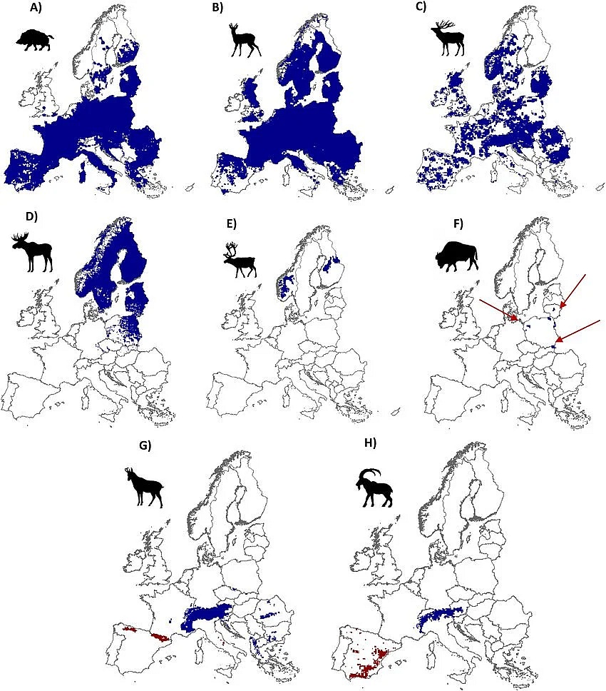 Zasięg występowania zwierząt kopytnych w Europie