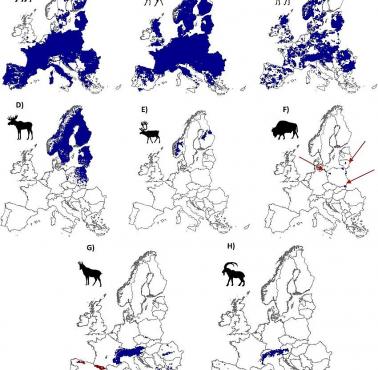 Zasięg występowania zwierząt kopytnych w Europie