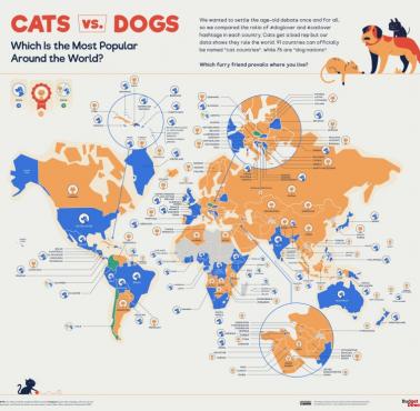Popularność kotów i psów według krajów