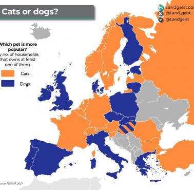 Popularność kotów i psów w Europie