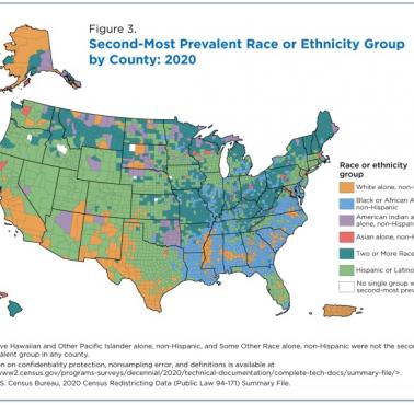 Druga co do wielkości grupa rasowa w USA według hrabstwa USA, 2020