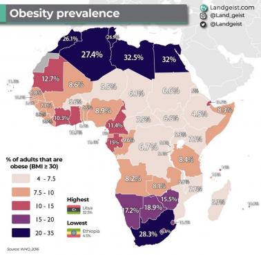 Współczynnik otyłości w Afryce, 2016