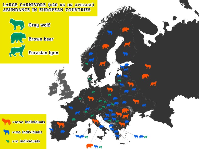 Obfitość dużych drapieżników w każdym kraju europejskim