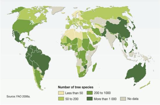 Różnorodność (liczba) gatunków drzew na kraj na świecie