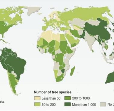 Różnorodność (liczba) gatunków drzew na kraj na świecie