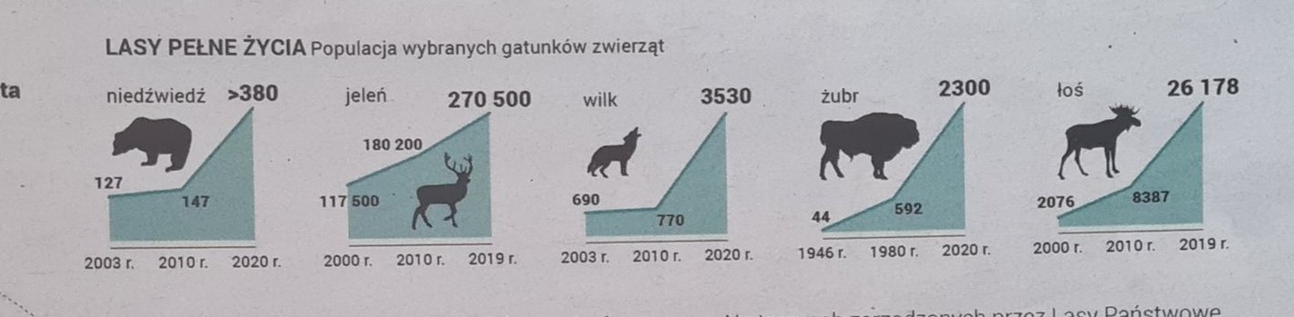 Populacja wybranych gatunków zwierząt.  Polskie lasy