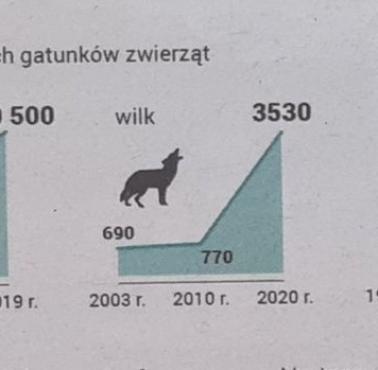 Populacja wybranych gatunków zwierząt.  Polskie lasy