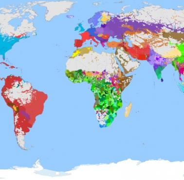Mapa językowa świata. Rodziny językowe na świecie, 2020