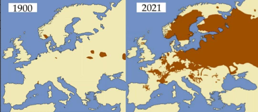 Zasięg występowania bobrów w Europie w 1900 i 2021
