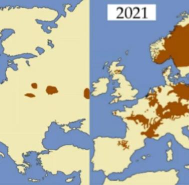 Zasięg występowania bobrów w Europie w 1900 i 2021