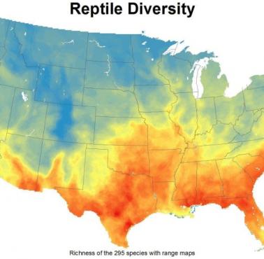 Różnorodność gadów w USA