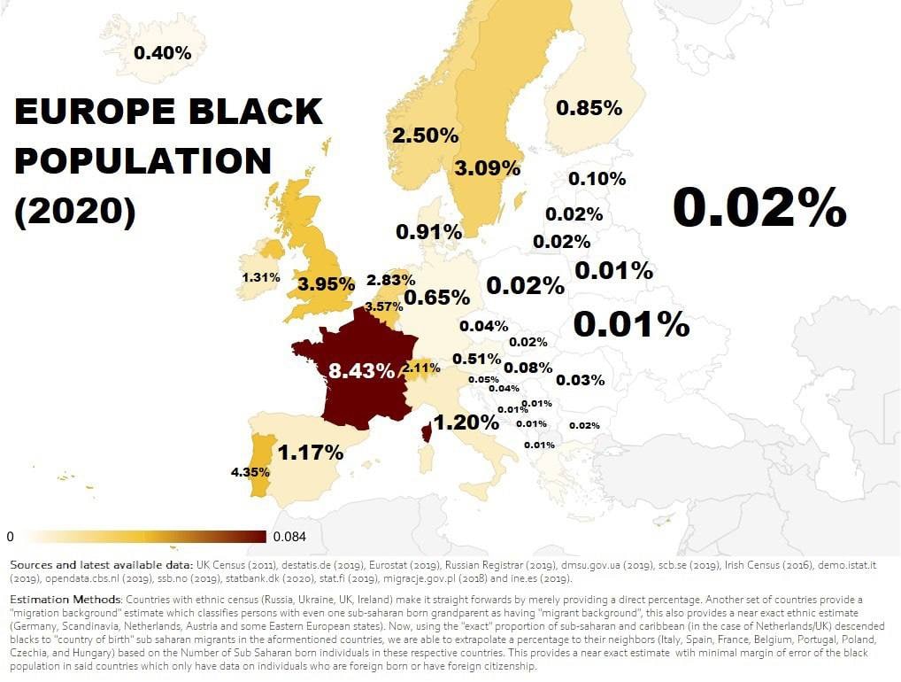 Odsetek czarnoskórych w poszczególnych państwach Europy, 2020