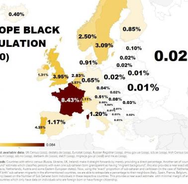 Odsetek czarnoskórych w poszczególnych państwach Europy, 2020