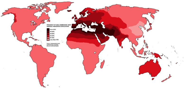 Częstotliwość wypadania włosów w zależności od obszaru geograficznego