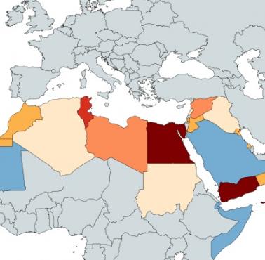 Skutki wywołanej przez Zachód Arabskiej Wiosny Ludów