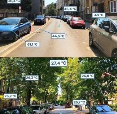 Jak to niewiele trzeba - temperatura ulicy z drzewami i bez