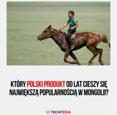Który polski produkt od lat cieszy się największą popularnością w Mongolii?